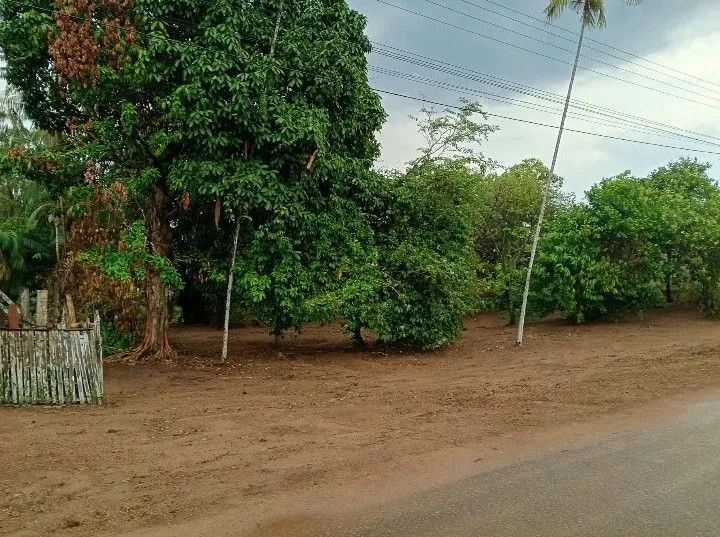 Terreno na cidade de Autazes-AM  - Foto 4