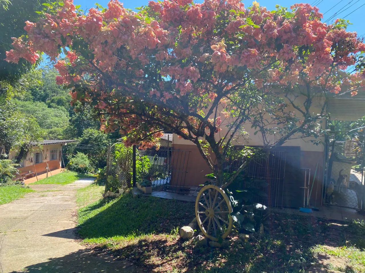 Chácara - Jaraguá - Foto 2