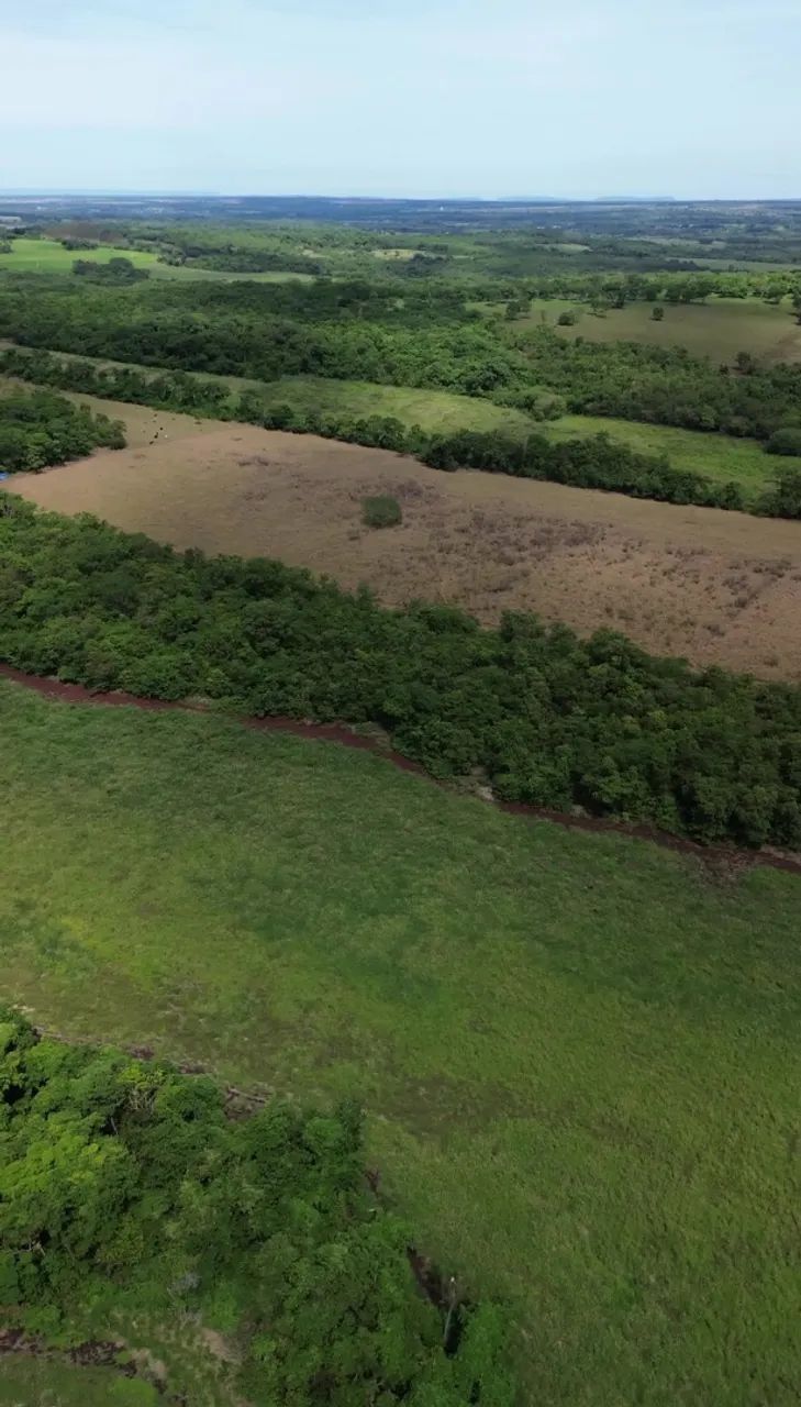 CHÁCARA À VENDA / TERENOS - MS | 41 HECTARES - Foto 4