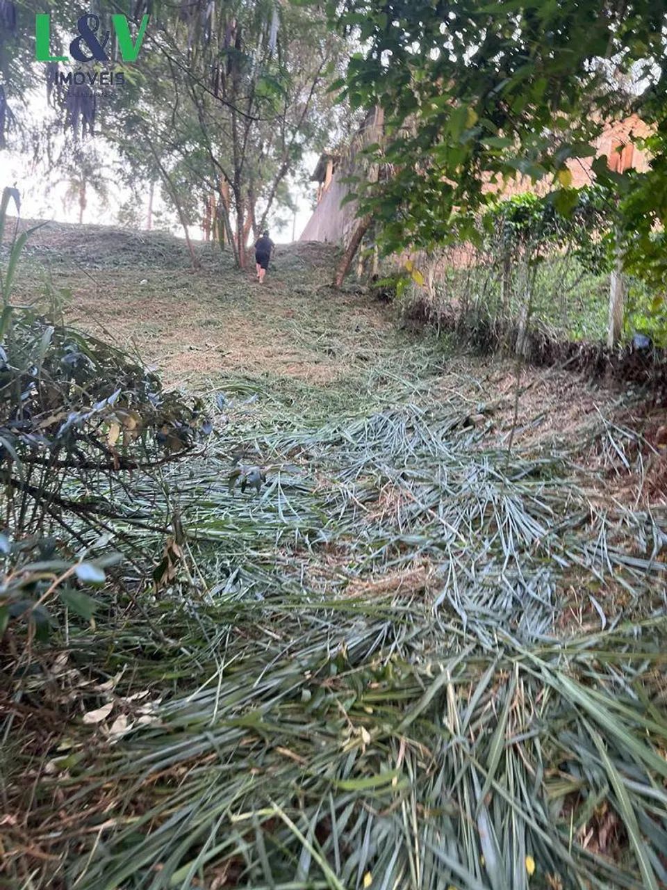 Terreno no bairro Monterrey - Foto 5