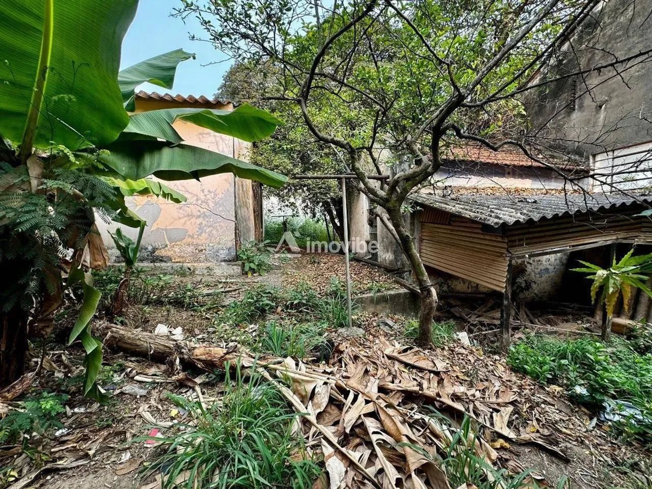 Lote/Terreno, Centro - Americana - Foto 4