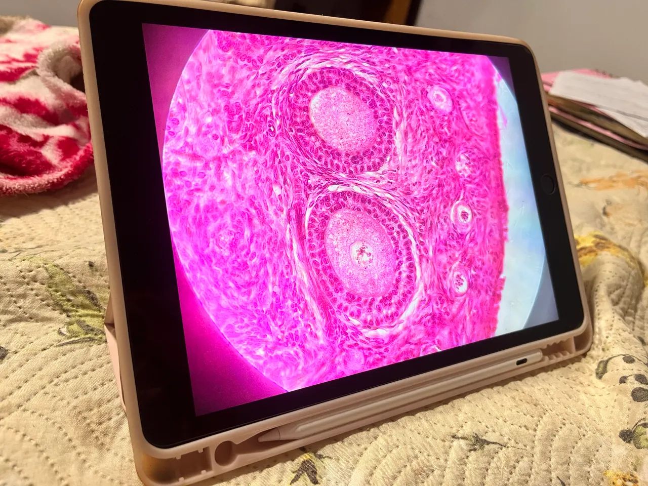 Ipad 9 64gb, com capa, caneta e teclado - Tablets e E-Readers