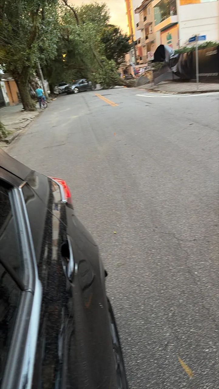 Motorista 