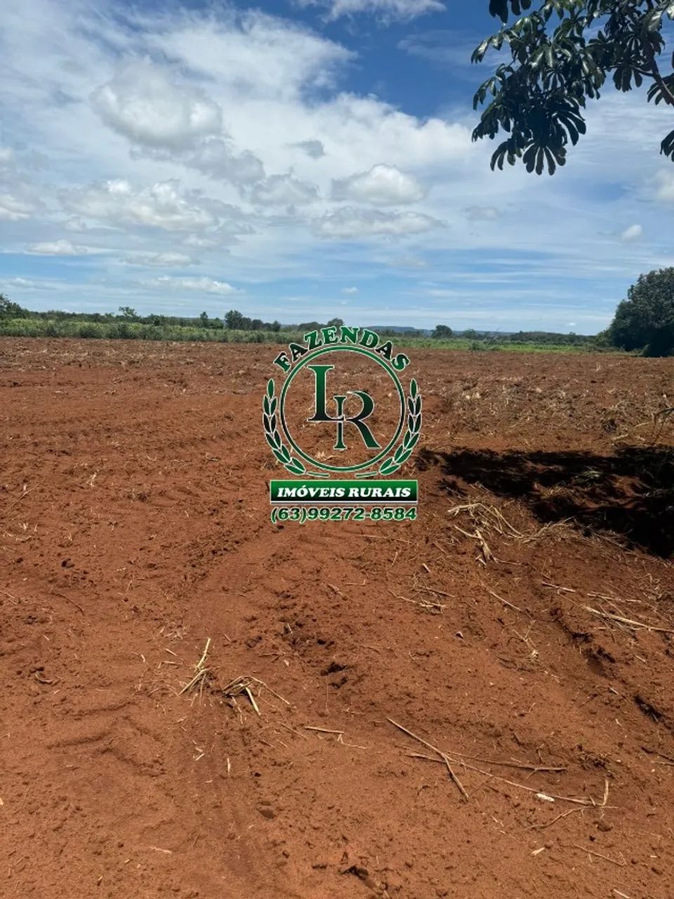 Chácara 6.000M² Projeto Prata Saída  Porto Nacional  - Foto 4