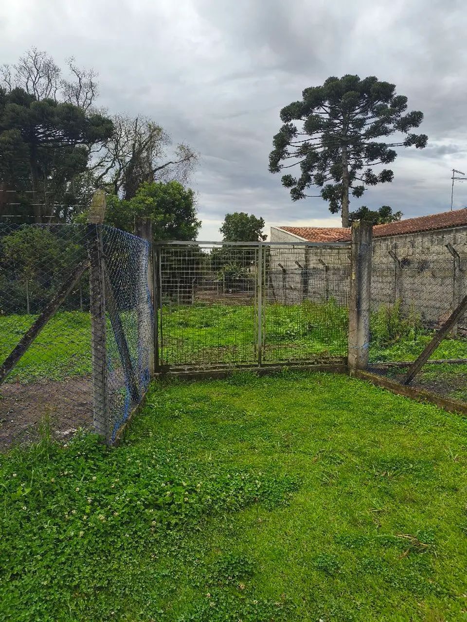 Terreno de 824m - Foto 2