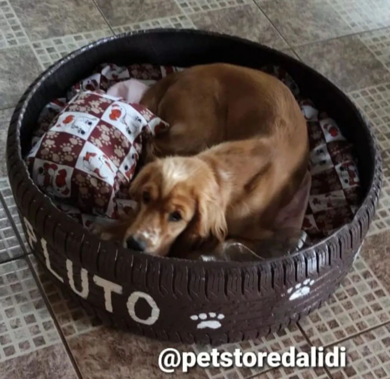 Cama Pet Personalizada  - Foto 2