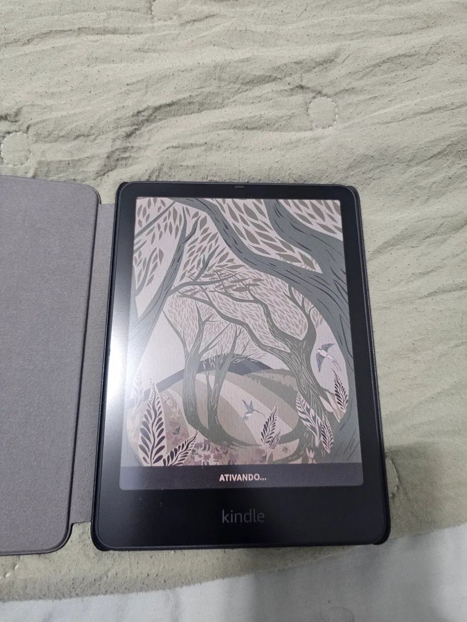 Kindle colorsoft signature edition
