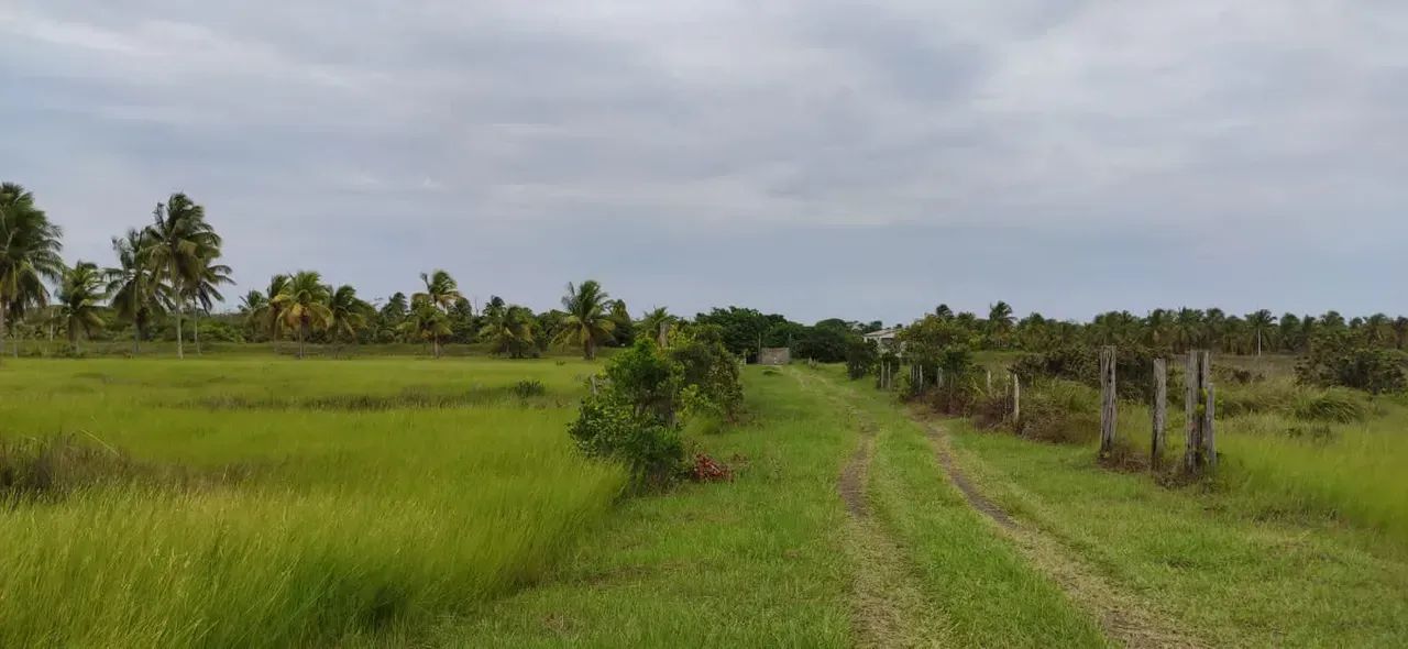 Área no litoral sul da Bahia - Foto 5