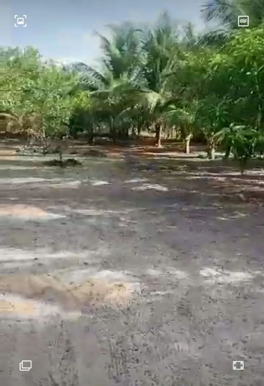 Vendo ou troco um sítio  - Foto 2