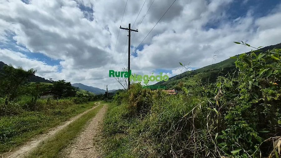 TERRENO PLANO PARA FORMAR CHÁCARA EM PINDAMONHANGABA-SP - Foto 4