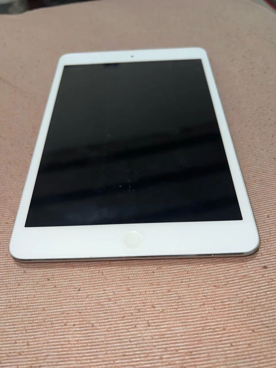 iPad mini 2 com capinha e carregador 