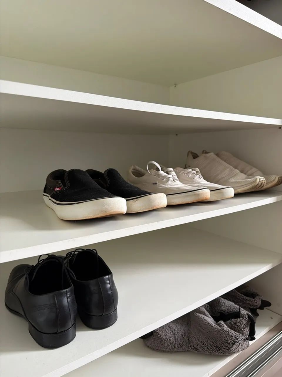 Tenis