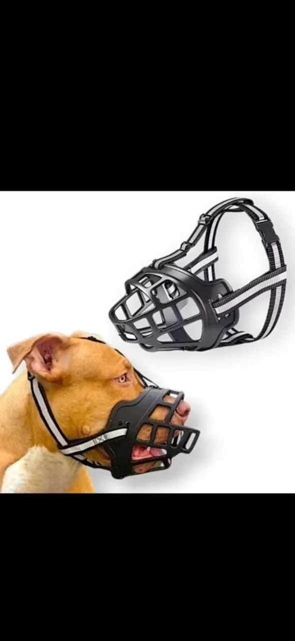 Focinheira  - Foto 3