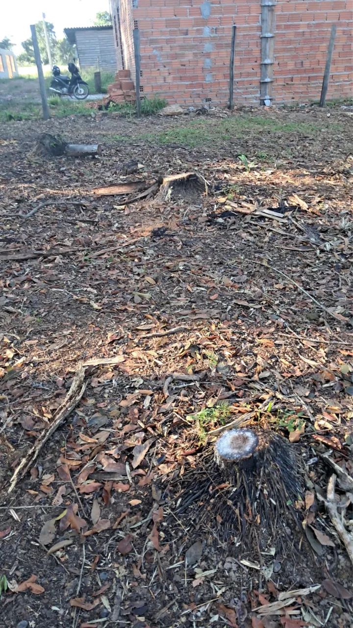 Terreno 