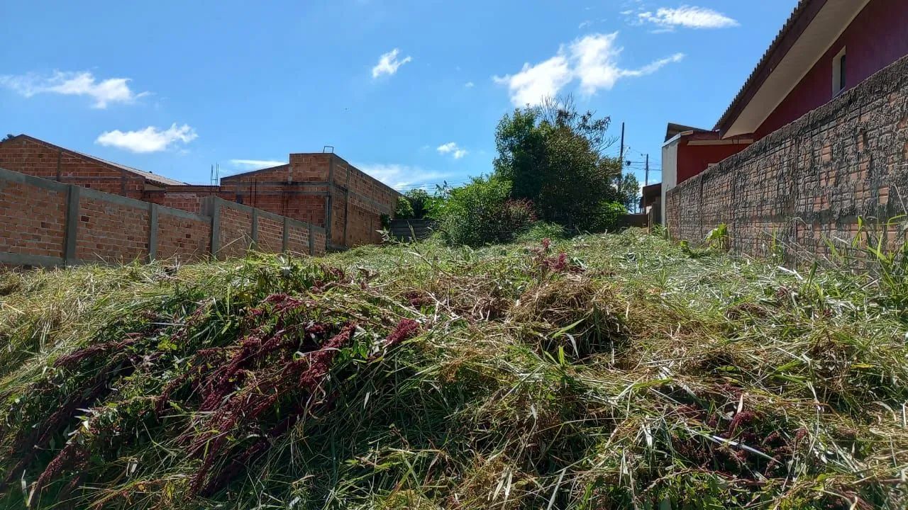 Terreno, lote  - Foto 3