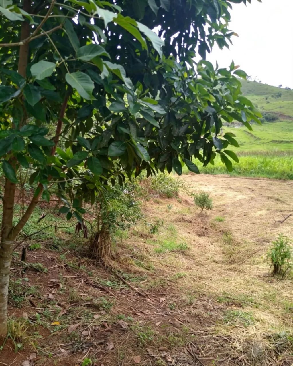Lote Zona Rural 750m2 - Foto 2
