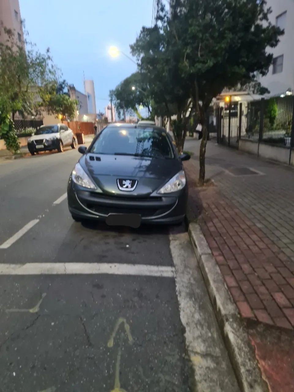Peugeot 207 207 XR 1.4 FLEX 8V 5P 2011