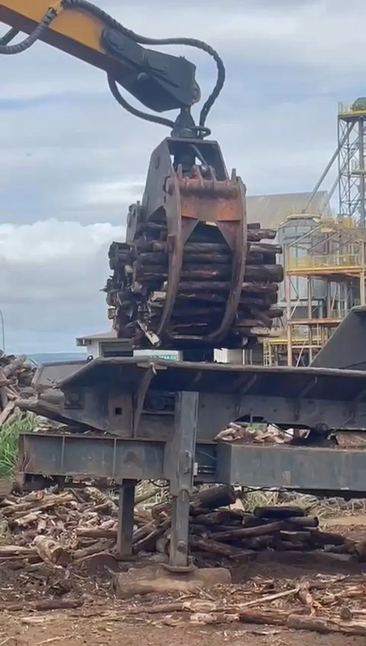 Grua florestal - Foto 6