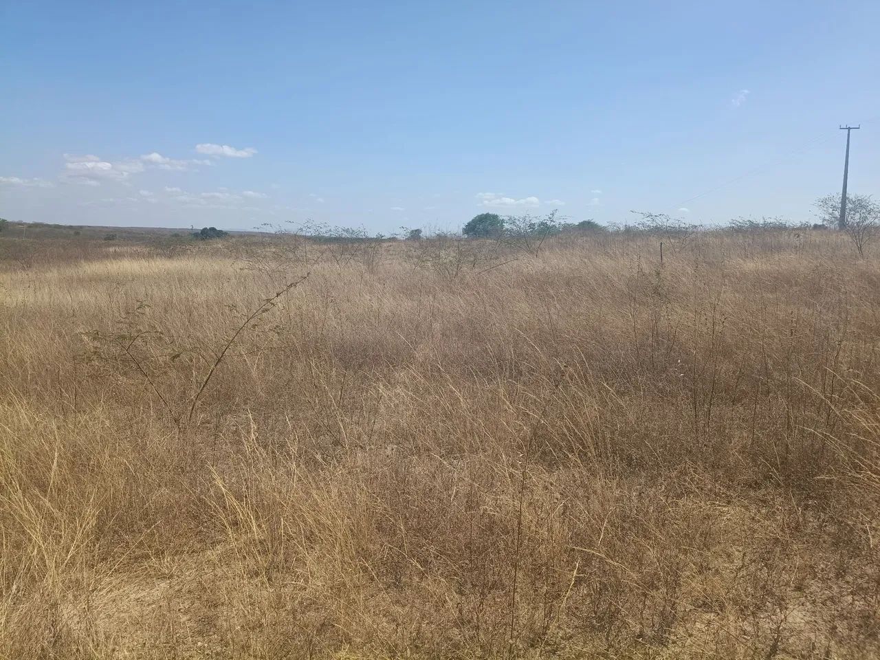 Terreno em Caridade Ce