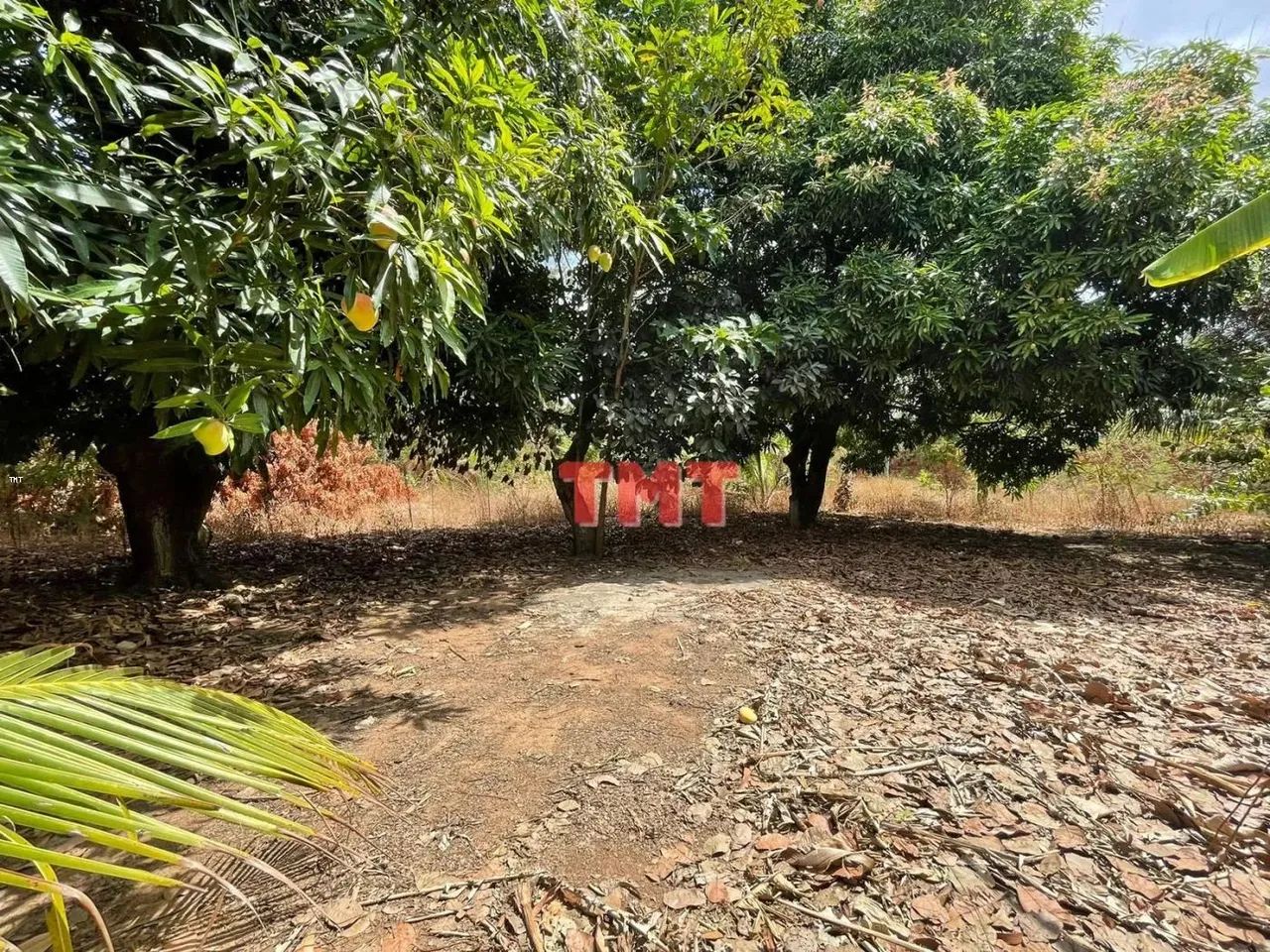 Sítio para Venda em Maranguape, Mucunã, 8 dormitórios, 6 suítes, 6 banheiros - Foto 6