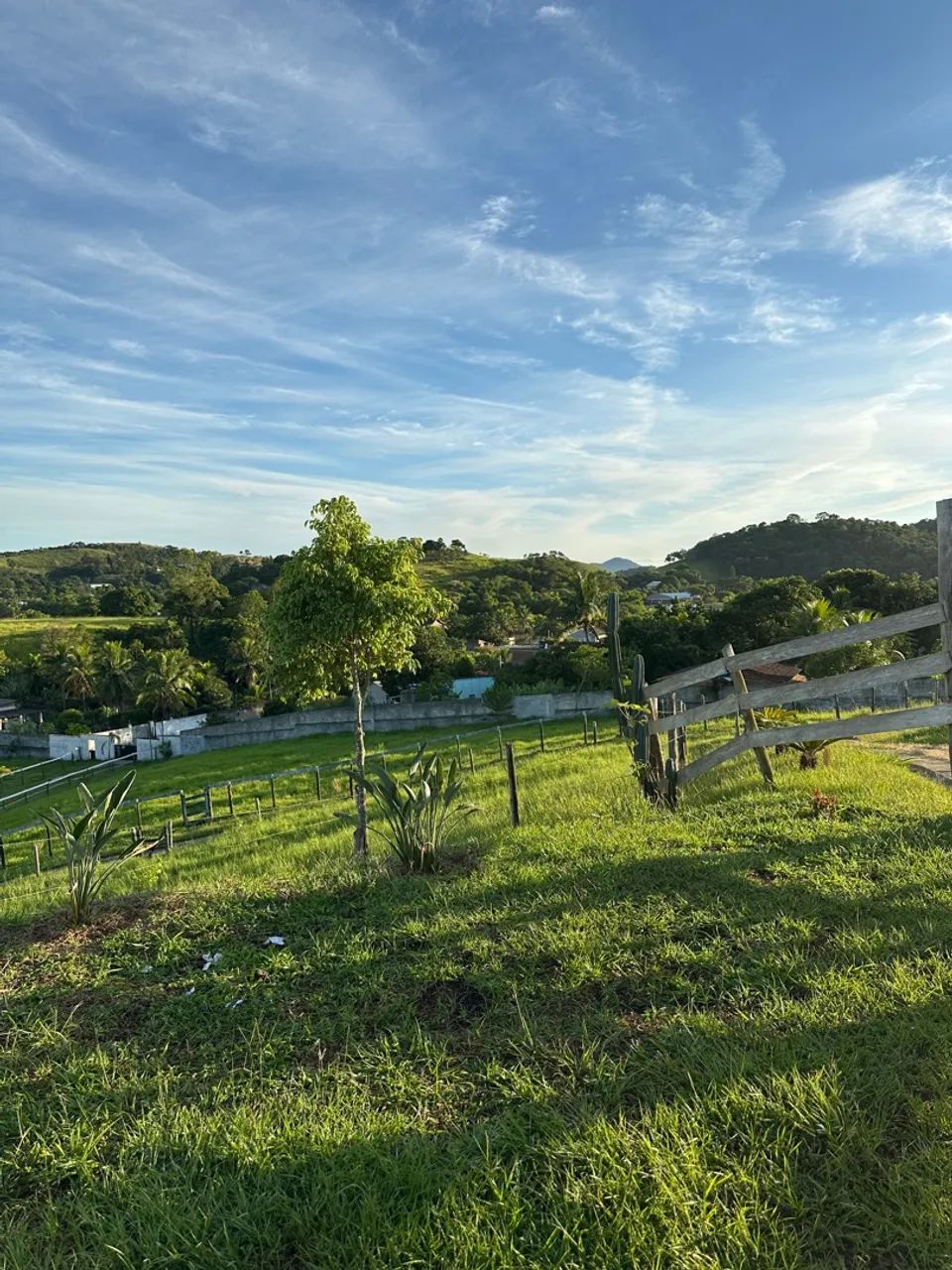 VENDO Sítio em Rio Bonito  - Foto 5