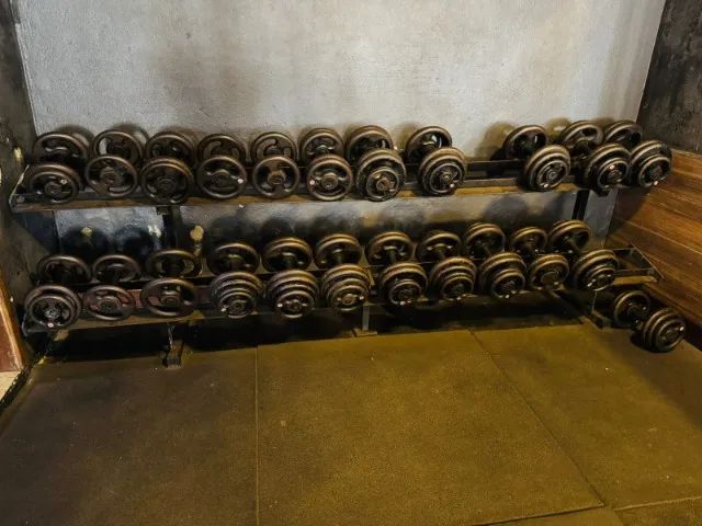 Halter de academia  (Dumbbell de 6 a 30 kilos) Estante  