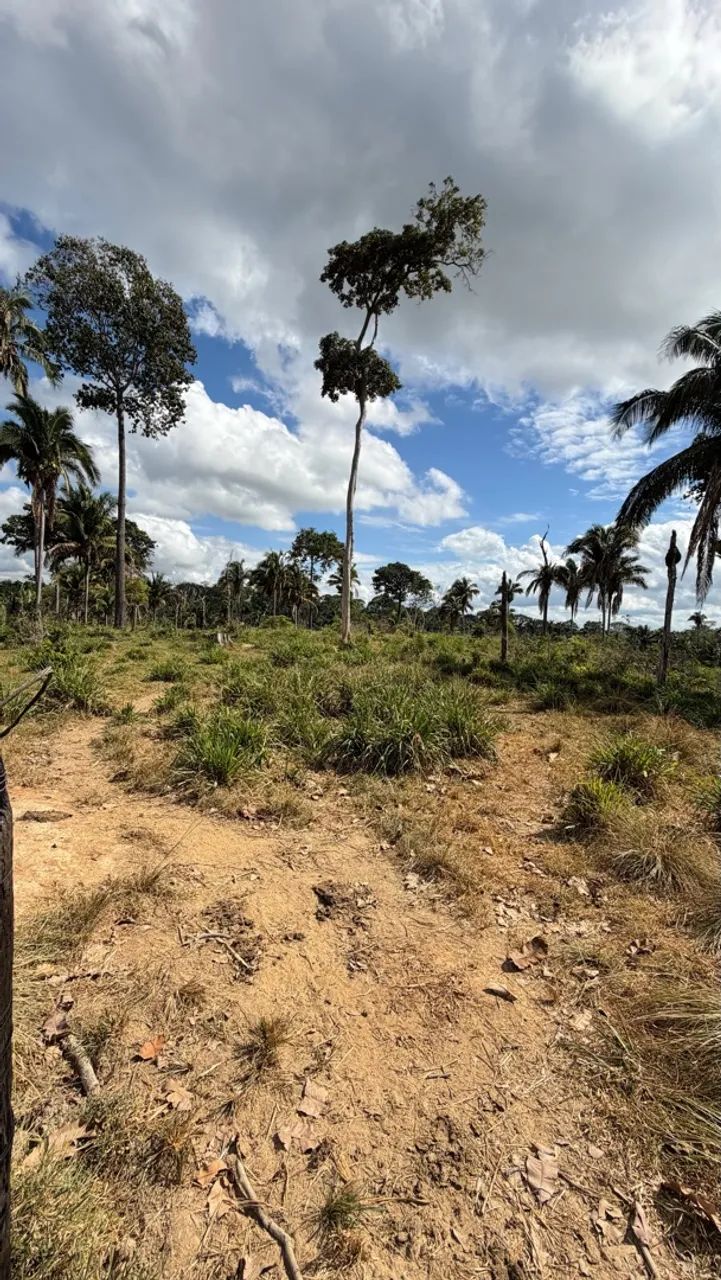 Vende-se Chácara de 6 Alqueires  - Foto 5