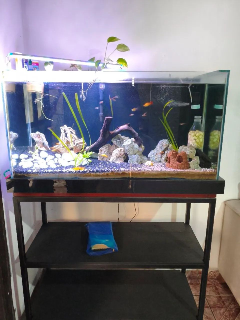 Aquário completo 