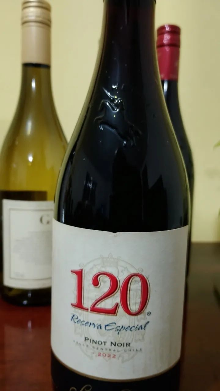 5 garrafas de vinho - Foto 5