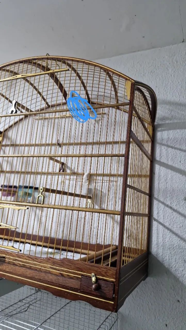 Gaiola ambulada  - Foto 3