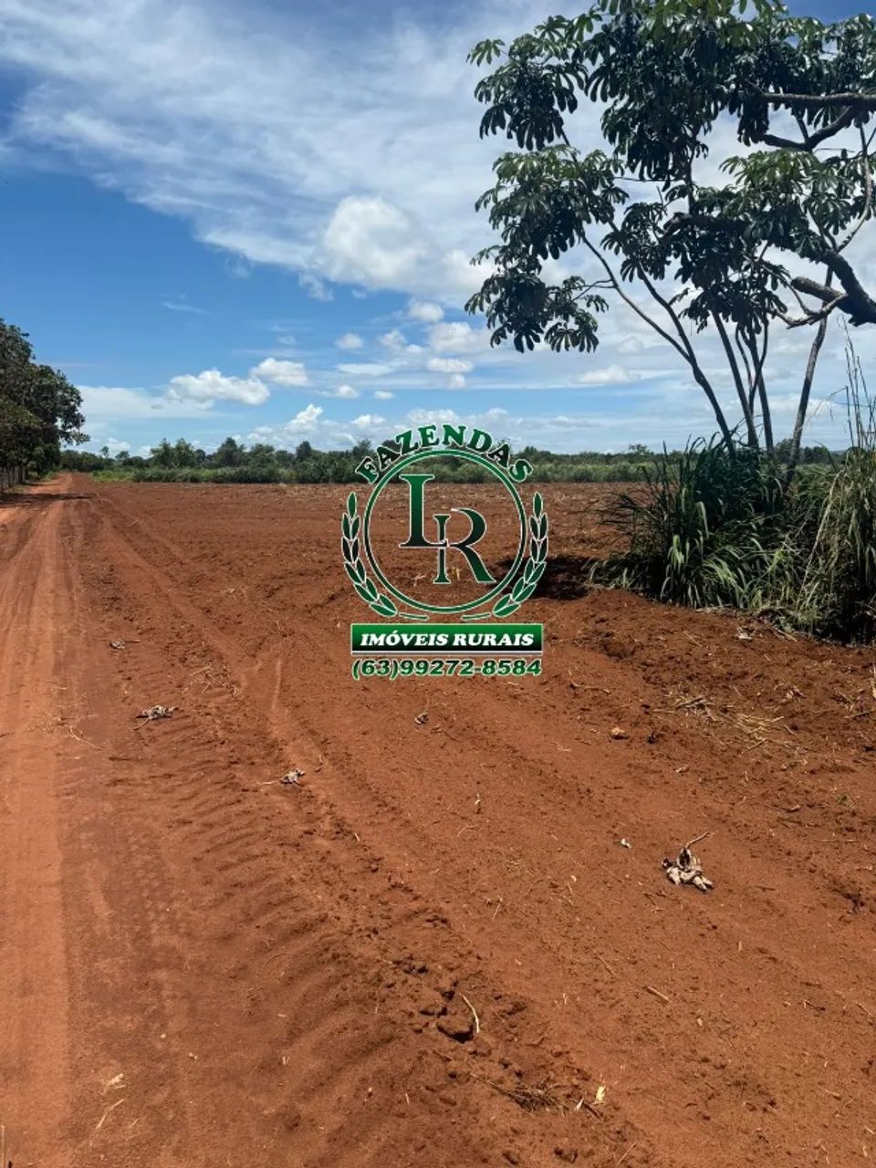 Chácara 6.000M² Projeto Prata Saída  Porto Nacional  - Foto 3