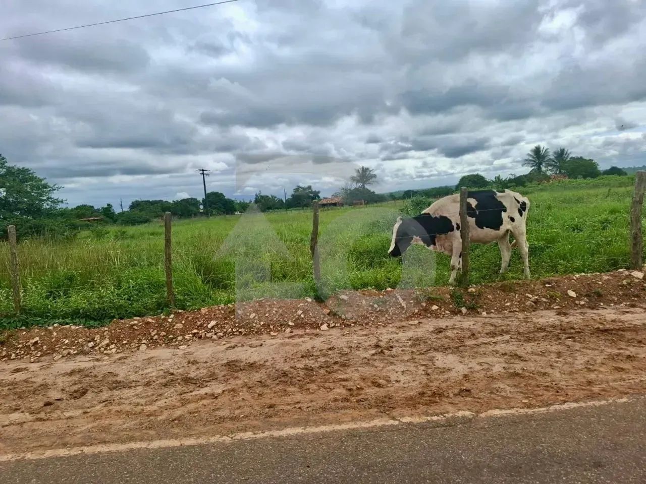 Terreno rural em Cumbe - 6000m². - Foto 3