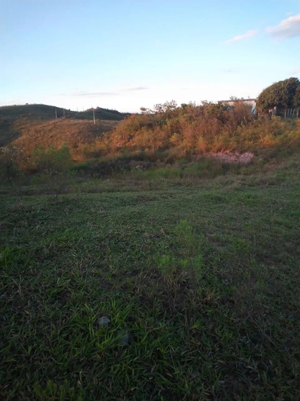 Sítio a venda  - Foto 4