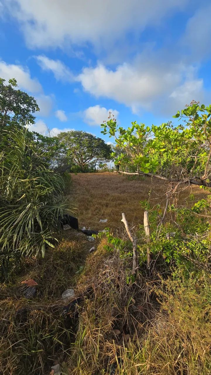 TERRENO EM BARREIRINHAS - Foto 2