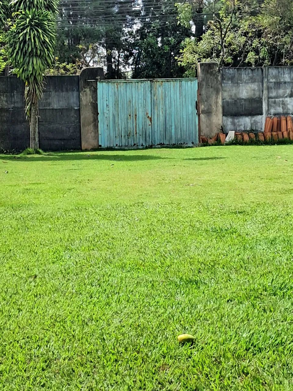 Foto - Araçoiaba da Serra - 