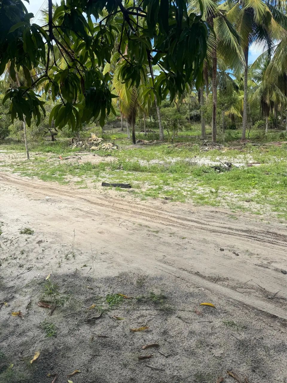 Lotes em lagoa Redonda-Pirambu