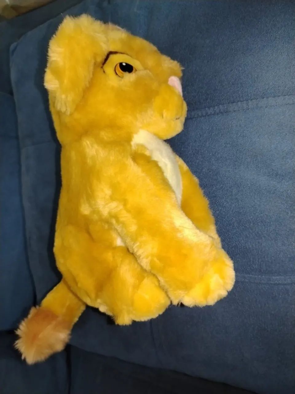 O REI LEÃO E A GUARDA DO LEÃO ? - Foto 5