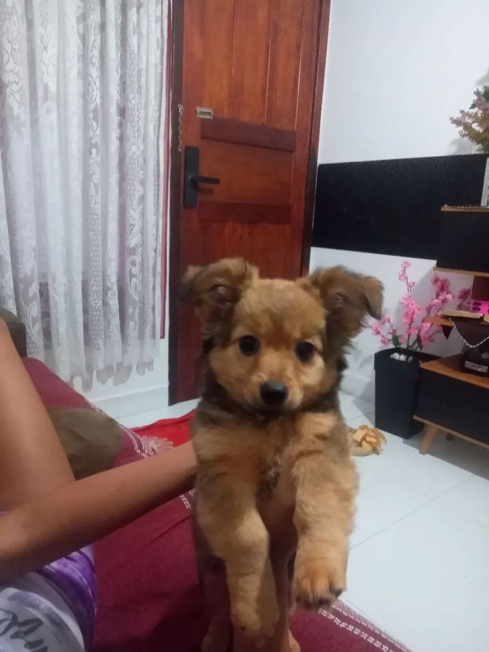 Vendo  - Foto 3