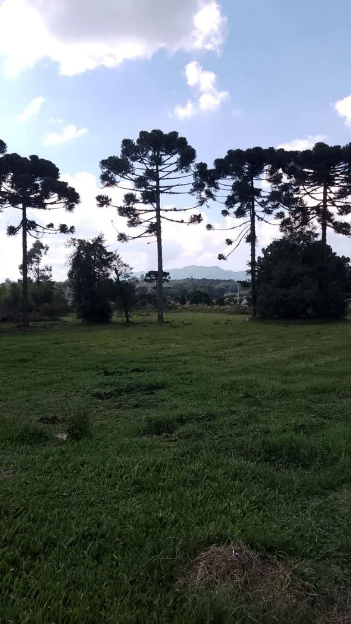 Oportunidade! Linda Chácara em São José dos Pinhais.  