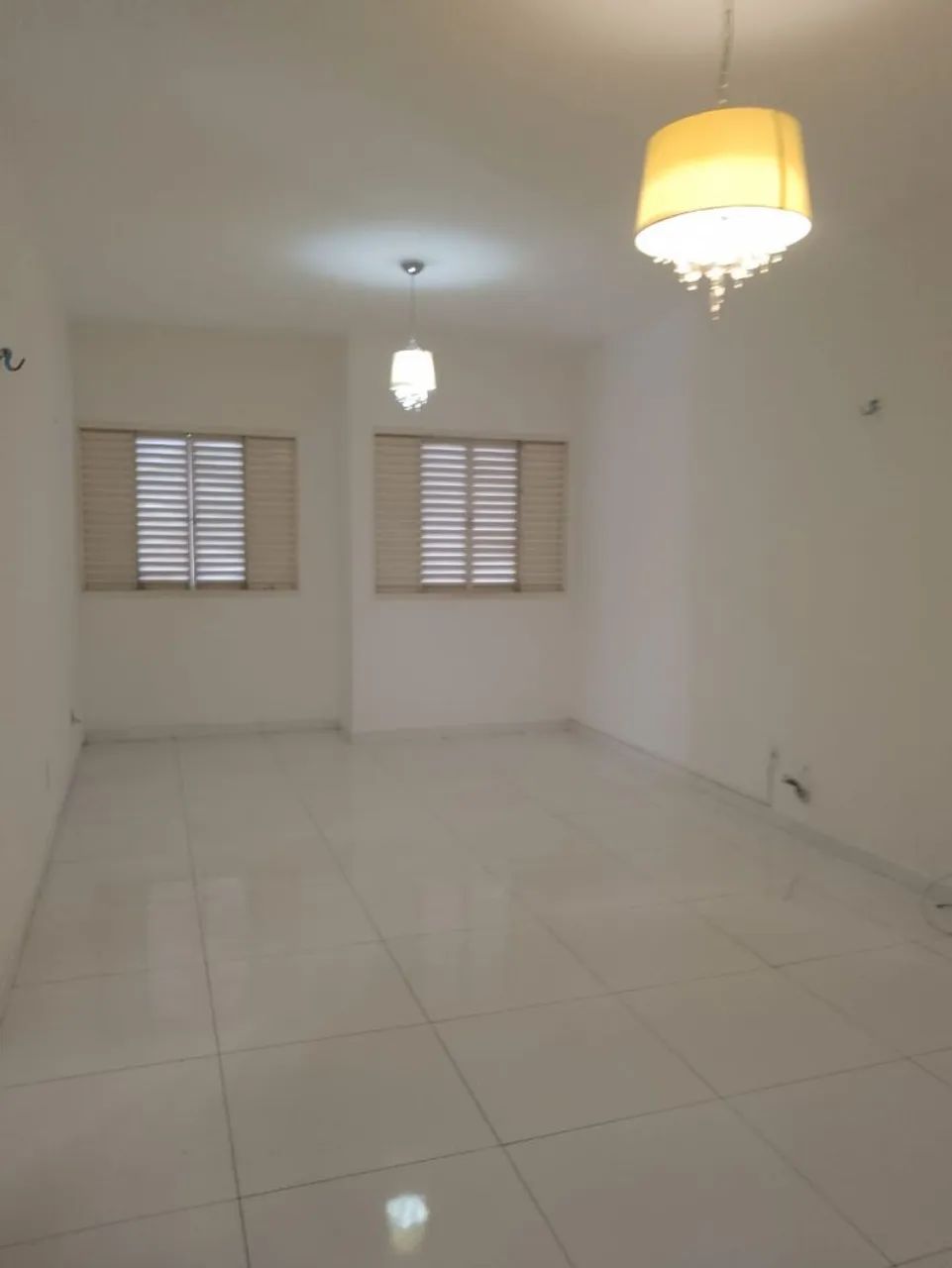 Foto - Teresina - Macaúba
