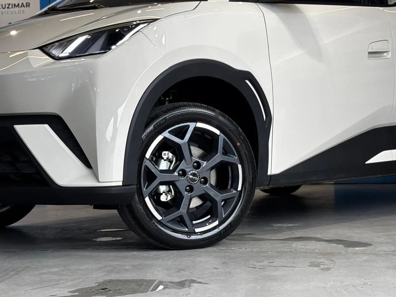 BYD Dolphin Mini (Elétrico) 2027 - Foto 5