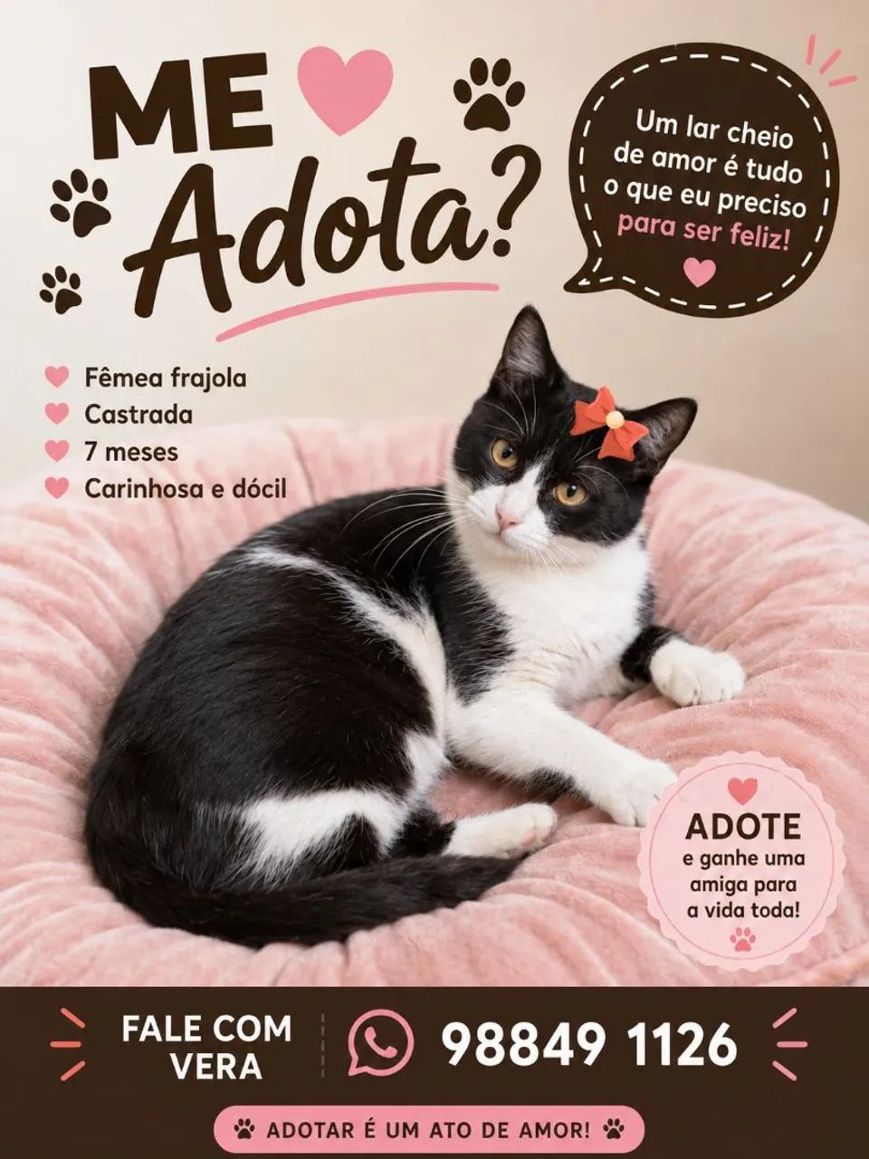 FOFURAS - Foto 3