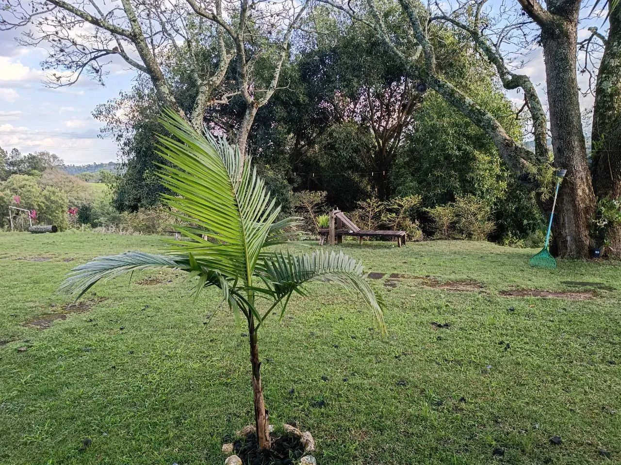 Vendo chácara em Piedade. Barreiro.6400m² - Foto 3