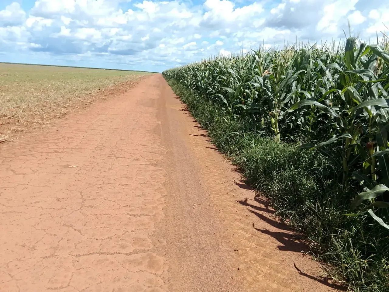 Fazenda a vemda, em Vale do Araguaia - Tocantins - Foto 5