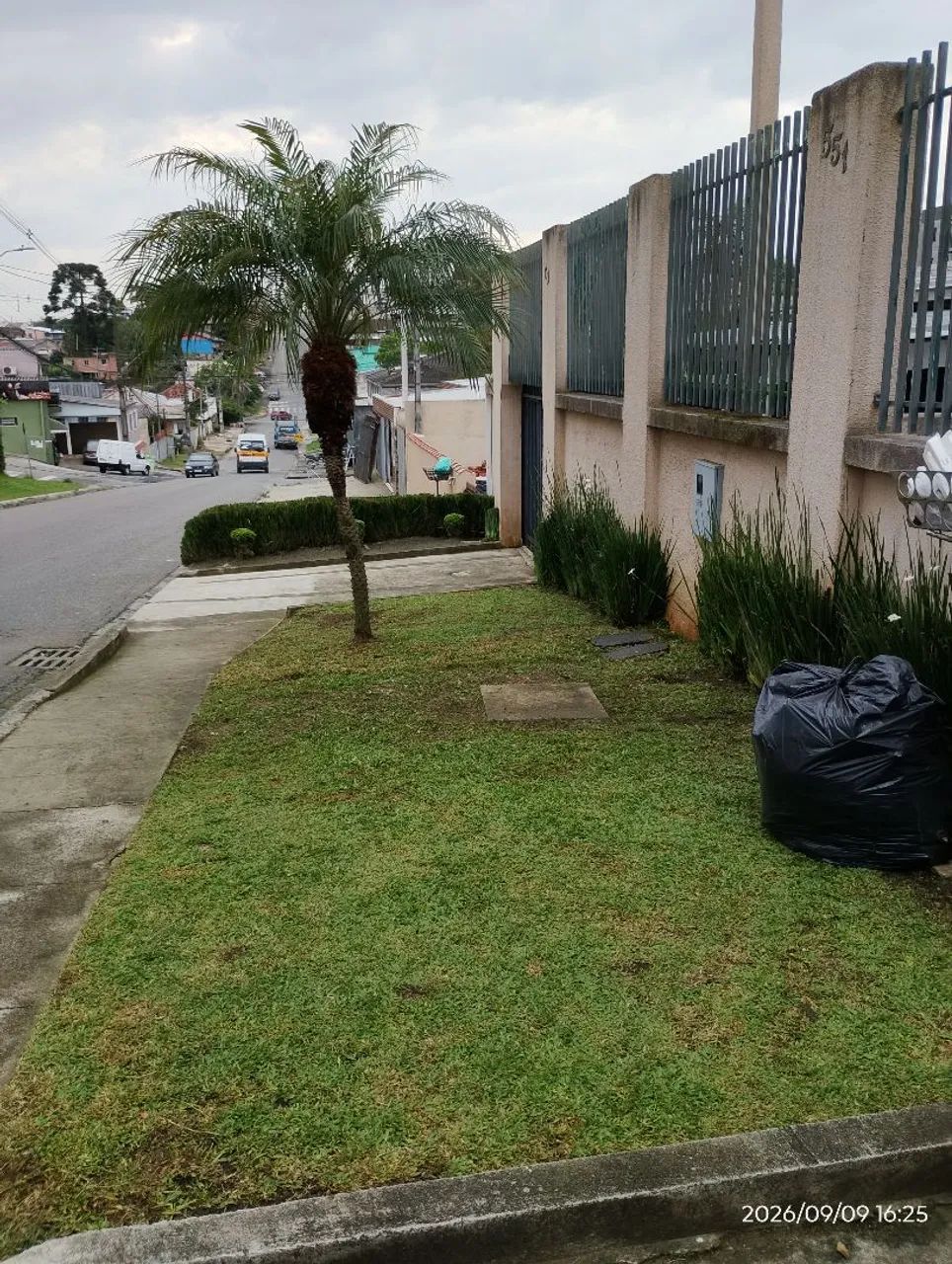 Jardinagem profissional  - Foto 3