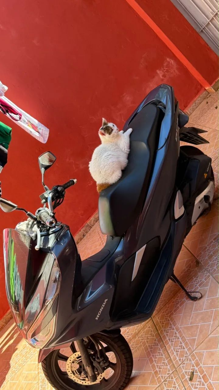 Pcx 150 cc  - Foto 4