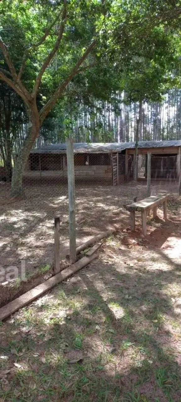 Vende se e Aluga Residencia em um sitio na Farturinha (lençois paulista) - Foto 7