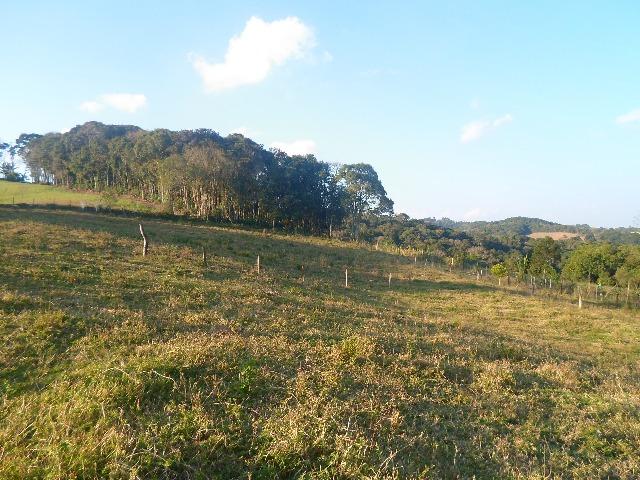 Chácara 20570 m² - Foto 6