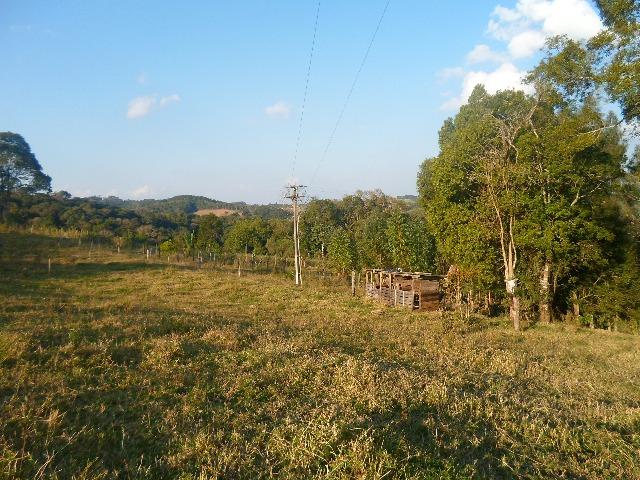 Chácara 20570 m² - Foto 7