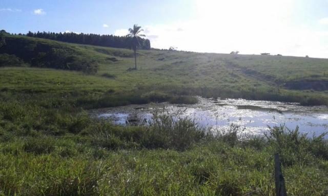 Fazenda para venda em nova viçosa, distrito de argolo - Foto 18
